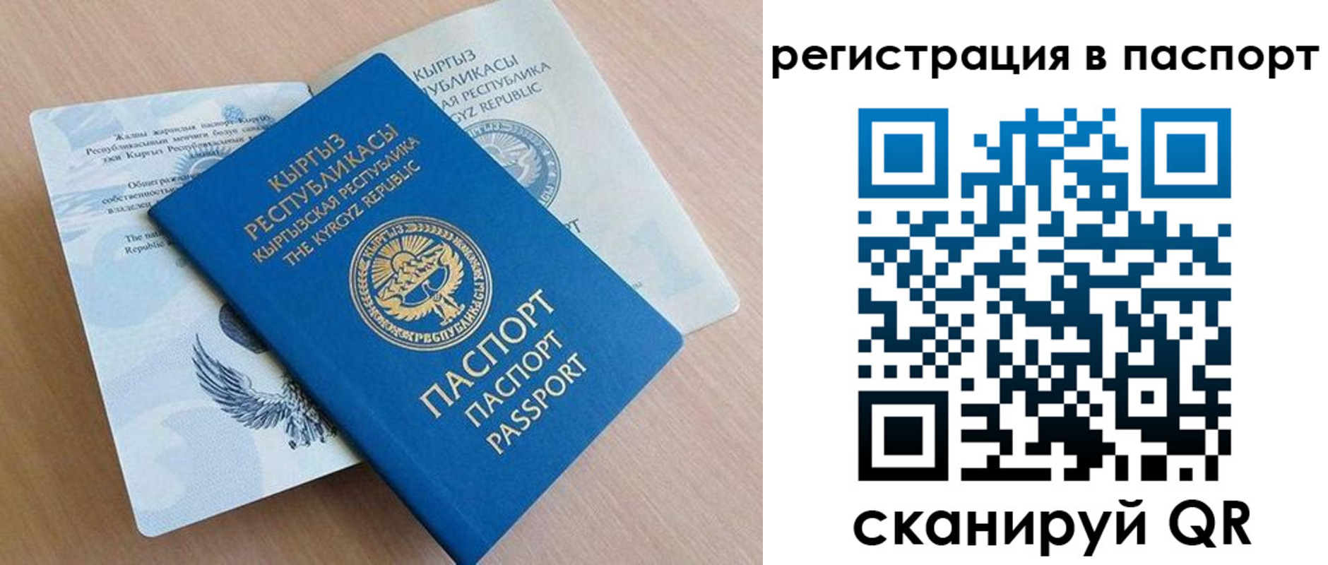 прописка законно в Полярном